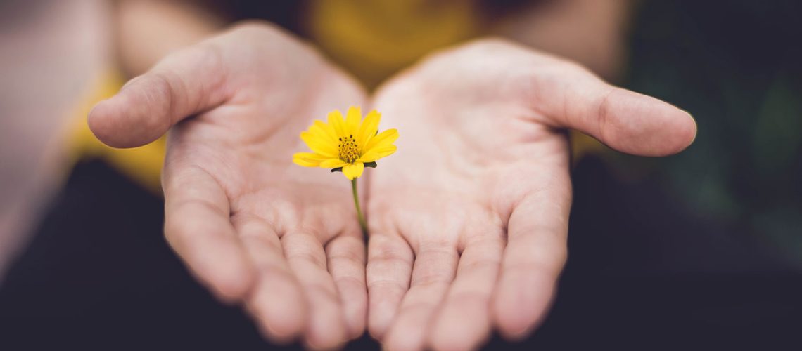 lina-trochez-ktPKyUs3Qjs-unsplash